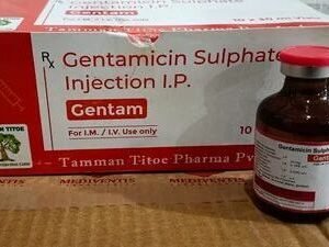 GENTAMICIN SULPHATE INJECTION I.P. GENTAM